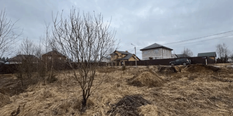 Продажа земли, площадью 1 000,00 кв.м Московская обл, Рузский м.о., Колюбакино п, Лесная ул, Для ведения личного подсобного хозяйства (приусадебный земельный участок)