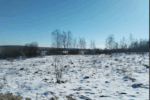 Продажа земли, площадью 1 250,00 кв.м Реестровый номер 00400010104249 Московская обл, Дмитровский м.о., опытного хоз-ва "Ермолино"