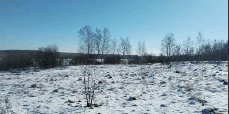 Продажа земли, площадью 1 250,00 кв.м Реестровый номер 00400010104249 Московская обл, Дмитровский м.о., опытного хоз-ва "Ермолино"